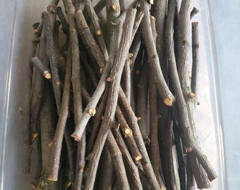 Apple & Pear Wood Chew Sticks for Rabbits - Hand-Cut, Air-Seasoned Treats, Small Animal Boredom Breakers