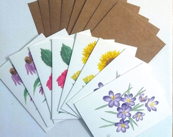 flower botanical illustration note card, greeting card pack, eight blank cards (4 different designs), 8 envelopes included