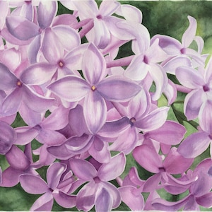 Lilac painting, close-up of lilac bush, macro floral watercolor -- fine art print