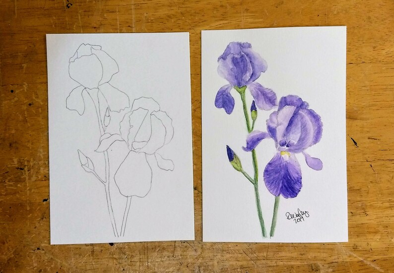 DIY Kit Paint Your Own Flower Drawings Set of Floral Etsy