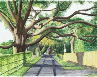 Golden Afternoon watercolor painting, sunset tree over country lane in Florida, watercolor fine art print