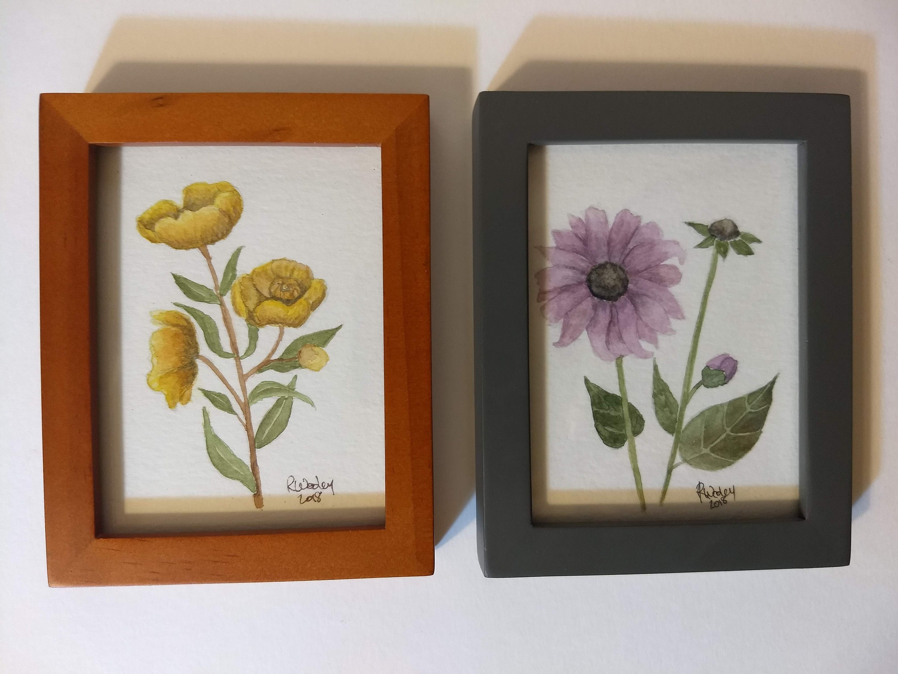 Watercolor botanical illustrations framed paintings hand | Etsy