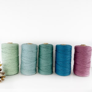Puede incluir: Cinco carretes de cuerda de algod&oacute;n en varios tonos de azul y verde, con un carrete de cuerda de algod&oacute;n rosa.