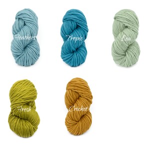 May include: Five skeins of chunky yarn in different colours. The colours are: Feathers (light blue), Tropic (teal), Lea (light green), Fresh (yellow-green), and Cricket (orange).