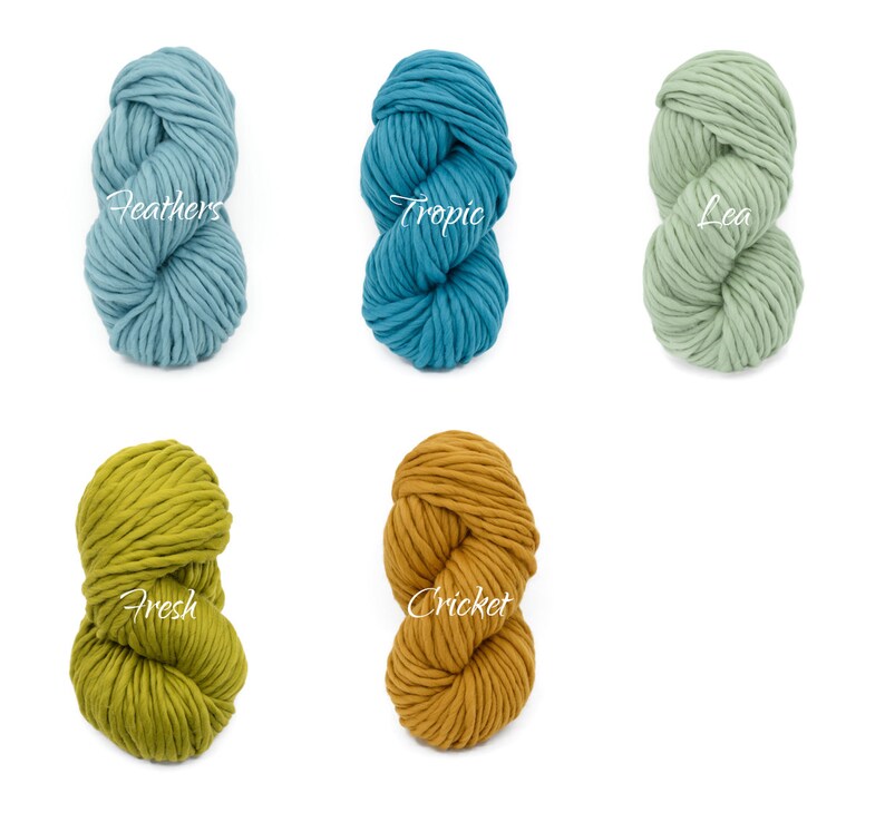 May include: Five skeins of chunky yarn in different colours. The colours are: Feathers (light blue), Tropic (teal), Lea (light green), Fresh (yellow-green), and Cricket (orange).
