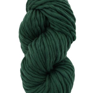 May include: A skein of dark green bulky yarn, ideal for knitting or crocheting warm winter accessories.