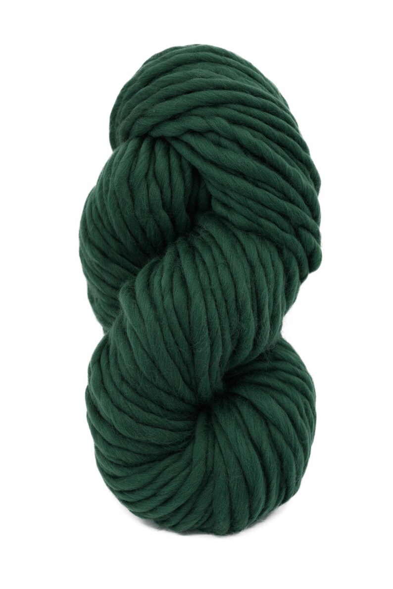 May include: A skein of dark green bulky yarn, ideal for knitting or crocheting warm winter accessories.