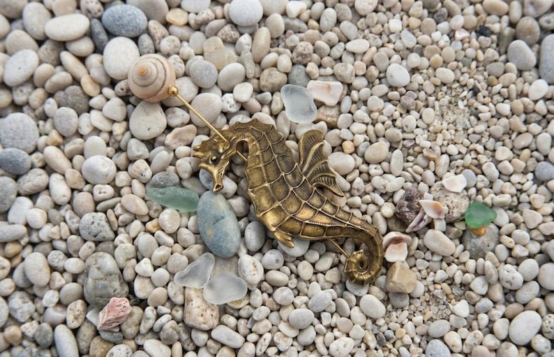 K&ouml;nnte beinhalten: Eine messingfarbene Seepferdchen-Brosche mit strukturiertem, segmentiertem K&ouml;rper und einer langen, d&uuml;nnen Nadel, die nach oben zu einem kleinen, spiralf&ouml;rmigen Muschelaufsatz f&uuml;hrt. Das Seepferdchen hat einen geschwungenen Schwanz und definierte Flossen.