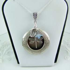 Peut inclure: Collier avec pendentif en forme de médaillon argenté orné d'un motif de libellule. Le médaillon rond présente une bordure florale gravée et une libellule au centre. Une feuille et un cristal bleu ornent le médaillon, suspendu à une chaîne argentée.