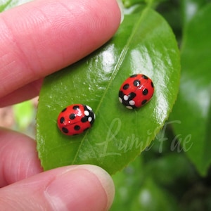 Boucles d'oreilles coccinelle réalistes : clous hypoallergéniques, pâte polymère, faits main - LumiFae
