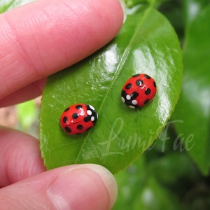 May include: Two miniature, red ladybirds with black spots and white markings rest on a green leaf. The ladybirds are hand-painted and appear to be decorative items. The leaf is held by a person's fingers.