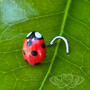 Peut inclure: Un piercing de nez en forme de coccinelle rouge avec des points noirs et une tige incurvée argentée. La coccinelle est posée sur une feuille verte. Un bijou unique.