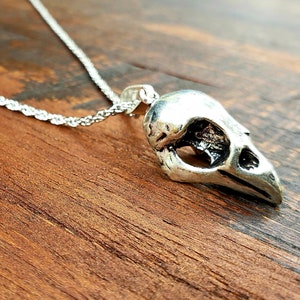 Silver Bird Skull Pendant Rustic Southwestern Necklace