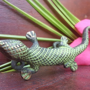 May include: A detailed, antique-style brass lizard figurine with a textured, crosshatched pattern. The lizard is positioned on a dark wooden surface, with green leaves and a pink flower in the background.