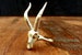 Golden Gazelle Adjustable Ring 
