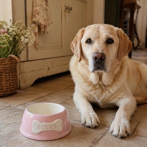 Puede incluir: Un cuenco de cer&aacute;mica rosa claro para mascotas con interior blanco y una placa blanca en relieve con forma de hueso en la parte frontal que muestra el nombre BETSY en letras grabadas. El cuenco est&aacute; sobre un suelo de piedra junto a un Labrador.