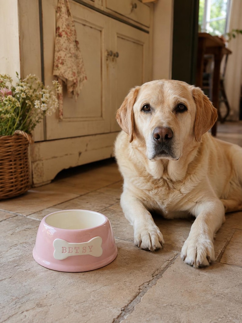 Puede incluir: Un cuenco de cer&aacute;mica rosa claro para mascotas con interior blanco y una placa blanca en relieve con forma de hueso en la parte frontal que muestra el nombre BETSY en letras grabadas. El cuenco est&aacute; sobre un suelo de piedra junto a un Labrador.