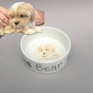 Cuenco para mascotas pintado a mano: Retrato personalizado de perro o gato en cerámica