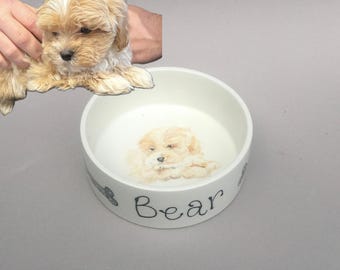 Hand Painted Pet Bowl: Personalized Ceramic Dog or Cat Portrait