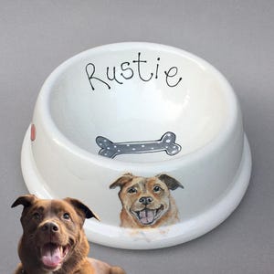 Comedero personalizado para perros con retrato de mascota: Comedero de cerámica pintado a mano