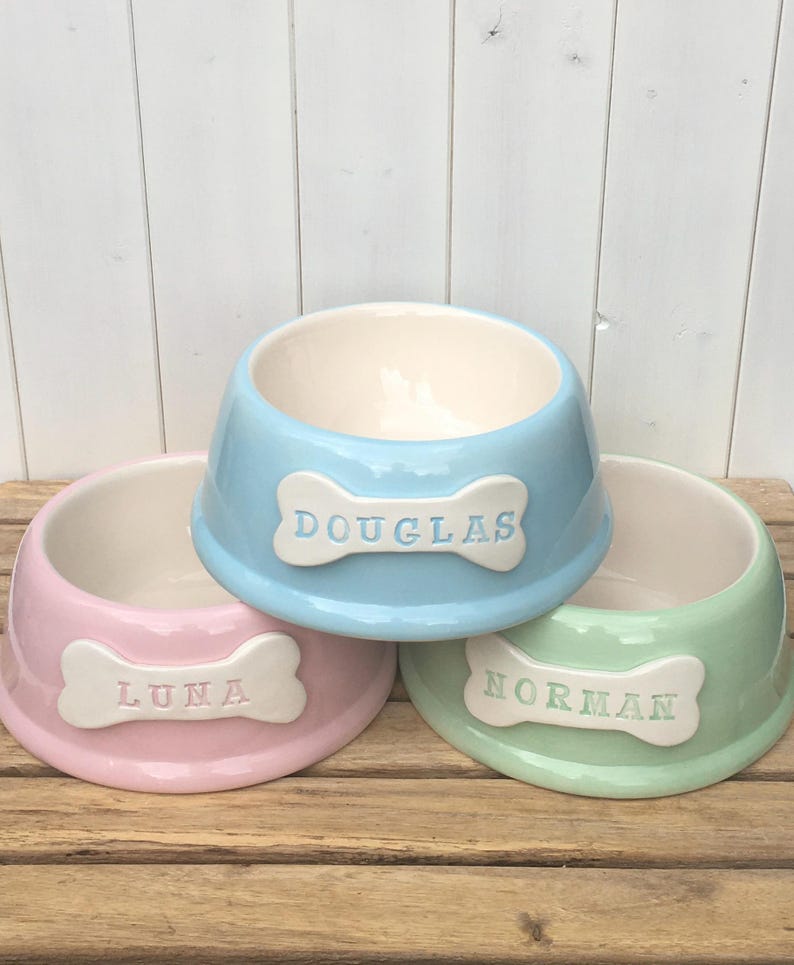 May include: Three ceramic dog bowls in different colors: pink, blue, and green. Each bowl has a bone-shaped tag with a name on it: Luna, Douglas, and Norman.
