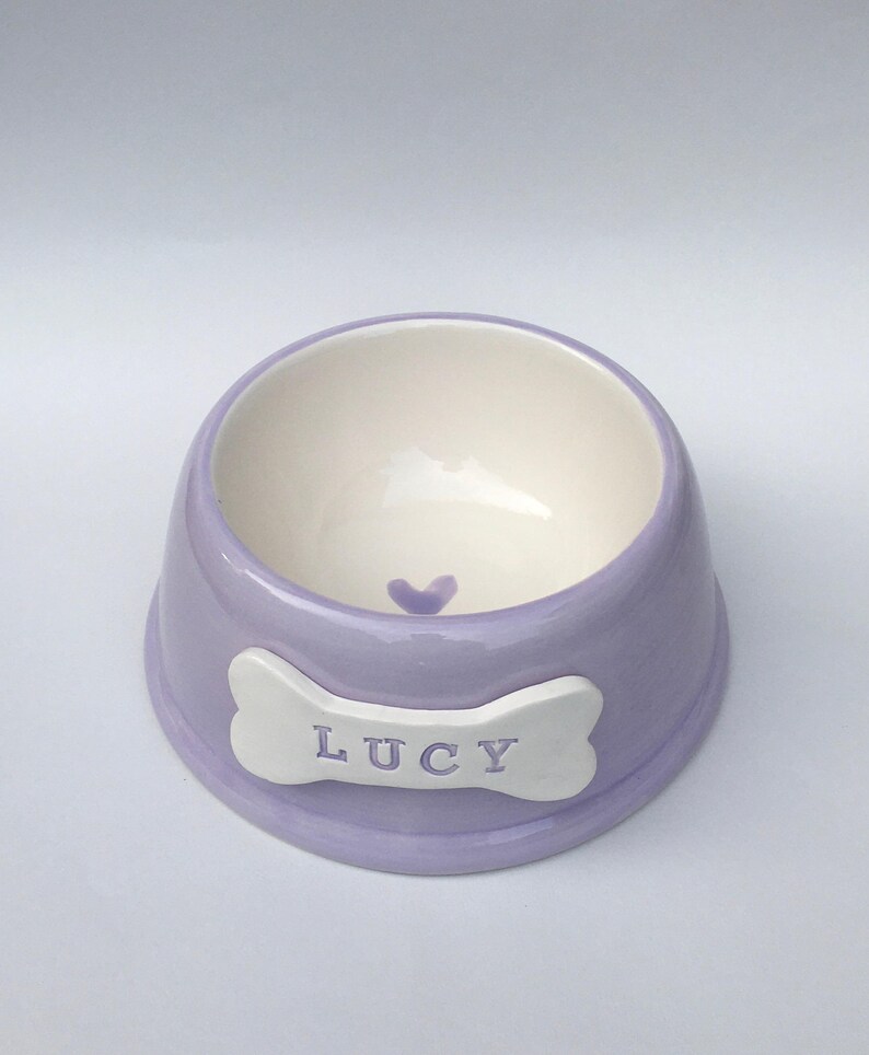 Handmade Personalised Earthenware Pet Bowl: Angled Spaniel Bowl in Sorbet Pastel Colours image 11