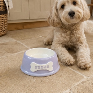 Puede incluir: Un cuenco de cer&aacute;mica de color morado claro para mascotas con interior blanco y una placa blanca en forma de hueso en la parte frontal que presenta la palabra SUGAR en letras grises. El cuenco tiene una base ancha y estable y un acabado brillante.