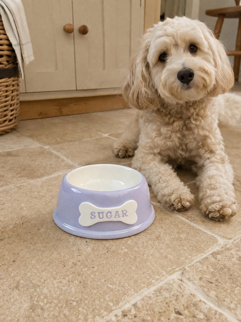 Puede incluir: Un cuenco de cer&aacute;mica de color morado claro para mascotas con interior blanco y una placa blanca en forma de hueso en la parte frontal que presenta la palabra SUGAR en letras grises. El cuenco tiene una base ancha y estable y un acabado brillante.