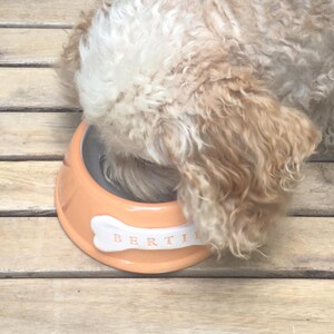 Handmade Personalised Earthenware Pet Bowl: Angled Spaniel Bowl in Sorbet Pastel Colours image 8