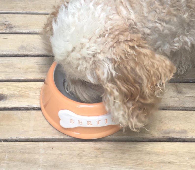 Handmade Personalised Earthenware Pet Bowl: Angled Spaniel Bowl in Sorbet Pastel Colours image 8