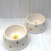 see more listings in the Pet Bowls section