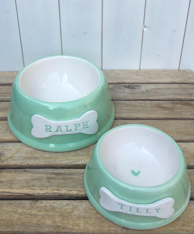 Handmade Personalised Earthenware Pet Bowl: Angled Spaniel Bowl in Sorbet Pastel Colours Mint green DOG bowl