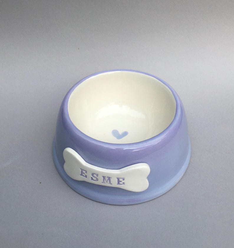Handmade Personalised Earthenware Pet Bowl: Angled Spaniel Bowl in Sorbet Pastel Colours image 16
