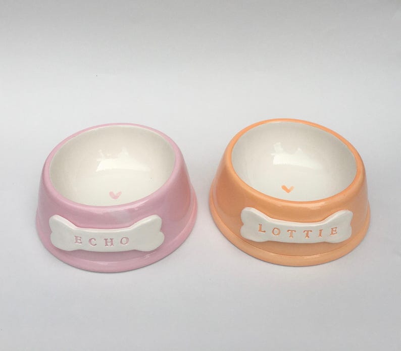 Handmade Personalised Earthenware Pet Bowl: Angled Spaniel Bowl in Sorbet Pastel Colours Orange DOG bowl