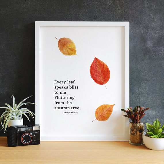 その他 MY FIRST B@BY AUTUMN LEAVES Ver SET MY FIRST B@BY AUTUMN LEAVES VER SET 【公式通販】