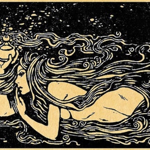 Siren Song Perfume Oil - Neroli, Champaca, Seashells, Pink Lotus, Ambrette (Musk), Frangipani, Kaffir Lime, Oud, Sea Greens, Coconut, Vegan