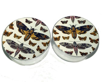 Moth Illustration Plugs sizes 00g - 2 Inches Double Flare or Single Flare