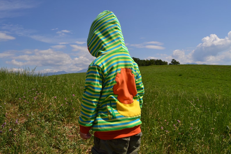 green spring stripes made to order Lion hoodie reversible