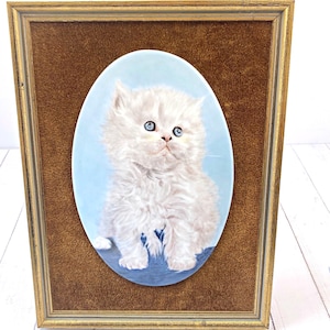 Vintage Porzellan Katze Display Plaque signiert Norris mit Samtrücken umrahmt Japan