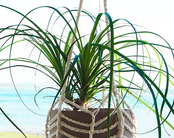 Easy Crochet Plant Hanger Pattern: Summer Home Decor (PDF Pattern)
