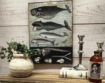 Dollhouse Miniature Whale Wall Hanging, Miniature Nautical Print