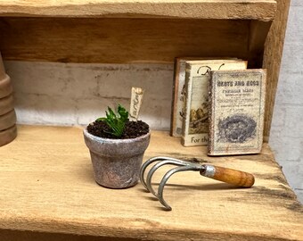 Dollhouse Miniature Seedling in an Aged Planter, One Miniature Plant, Mini Greenhouse Accessory