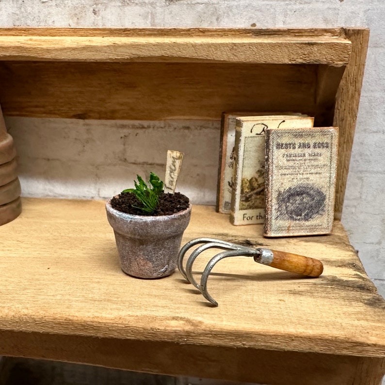 Dollhouse Miniature Seedling in an Aged Planter, One Miniature Plant, Mini Greenhouse Accessory image 1