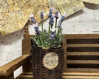 Signed OOAK Miniature Lavender in an Aged Basket, Dollhouse Garden, Miniature Greenhouse, Mini House Plant