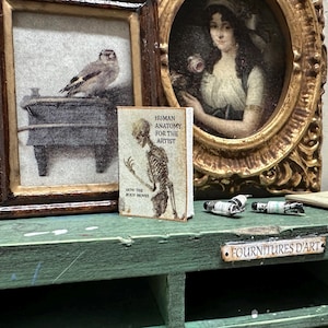 Dollhouse Miniature Art Book: Human Anatomy for Artists