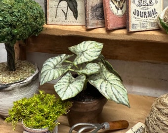 Dollhouse Miniature Caladium in a Weathered Planter, Miniature Garden