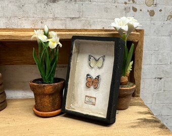 Dollhouse Miniature Butterfly Specimen, Dollhouse Entomology, Miniature Natural History