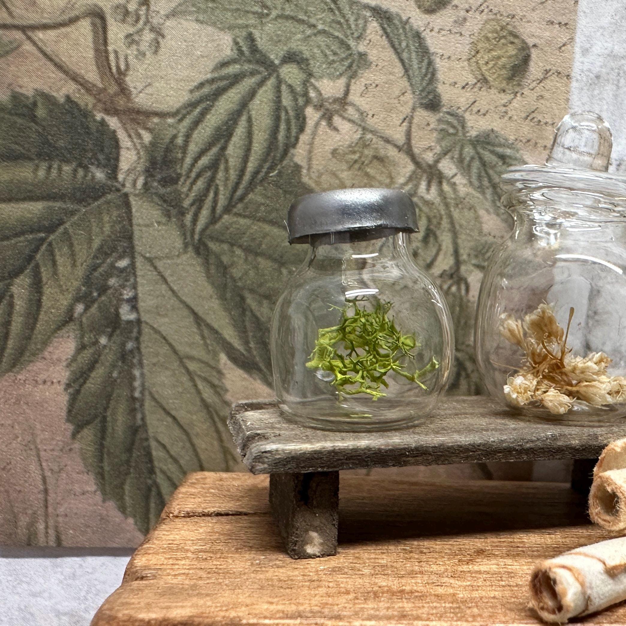 ONE (1) Miniature Dollhouse Real Glass Jar with Metal Lid