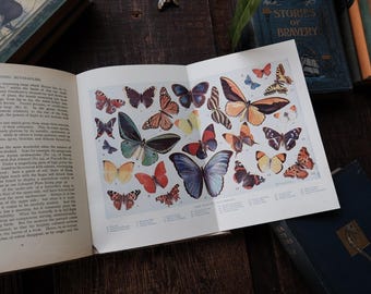 El libro maravilloso de la naturaleza