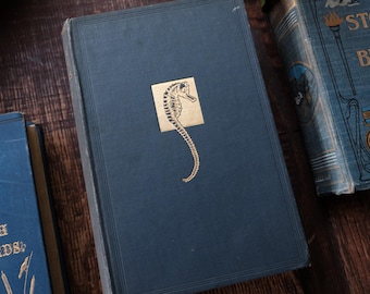 El mar y sus maravillas, de Cyril Hall